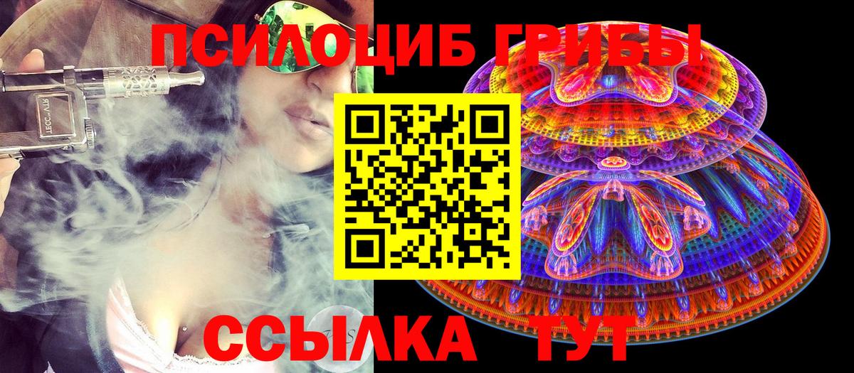 Сибай  Галлюциногенные грибы MAGIC MUSHROOMS  Вход с VPN 