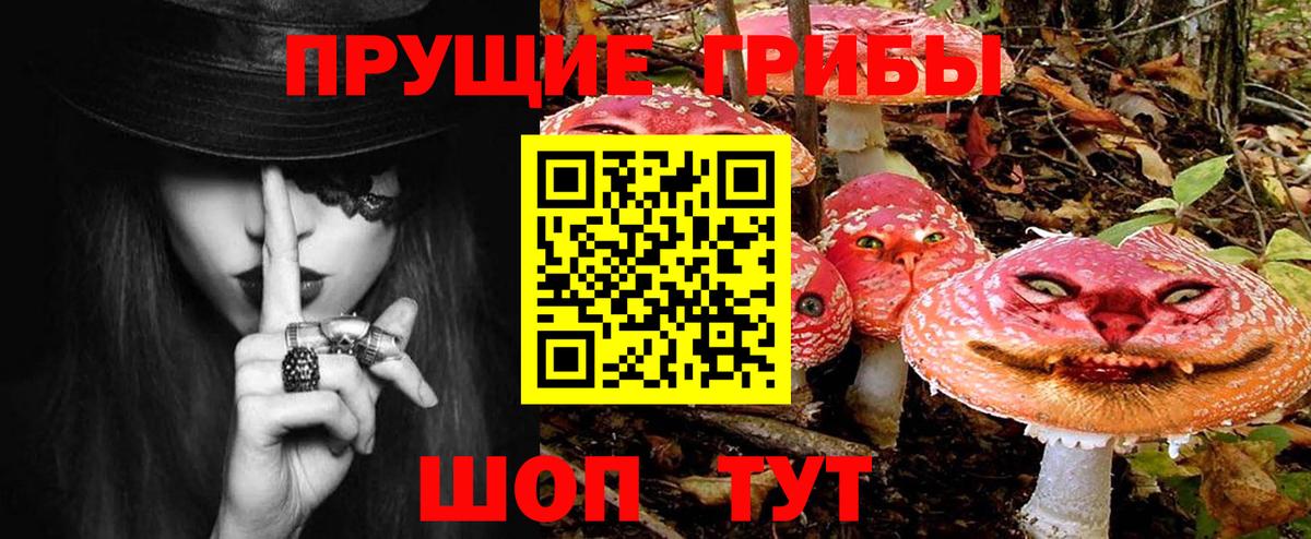 Галлюциногенные грибы прущие грибы Сибай